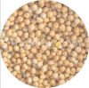 Chickpeas