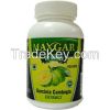 Garcinia Cambogia