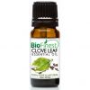 Organic natural clove essential oil