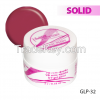 Lady Victory Paivate Label UV Gel Color Painting UV Gel Polish For Nail Art Paint GLP