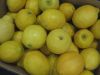Fresh Eureka Lemon For Sale