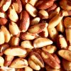 High Quality Raw Brazil Nuts