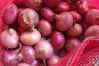 Fresh Red & Yellow Onions