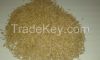 OAT seeds from Ukraine