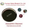 10% astaxanthin oil, 100% natural astaxanthin oleoresin, Haematococcus