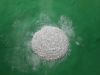 Aluminum Sulphate