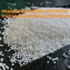 Expandable Polystyrene/EPS Beads/ESP Price