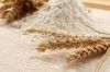 Wheat Flour