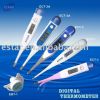 Sell Digital Thermometer