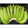 Cavendish Bananas