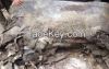 Wet/dry salted donkey hides