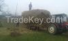 Quality Alfafa Hay For Animal feeding stuff Alfalfa / alfalfa hay / alfalfa hay for sale