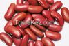 Dry Pinto Beans or Light Speckled Kidney Beans(Long Shape) Size 220-240 pcs