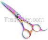 Professional Hair Cutting Scissor