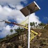 Solar street Light