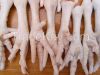 Halal Grade A Chicken Feet / Frozen Chicken Paws