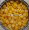 Canned Sweet  Corn Kernel