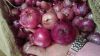 Fresh Red Onion