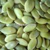 Snow White Pumpkin Seeds kernels