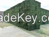 Grade A Alfalfa Hay Bales /Bales alfalfa Alfafa Hay Bales / For Sale