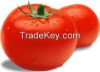 GRADE ''A'' FRESH TOMATOES FOR SALE