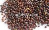 Organic Mustard Seeds, yellow mustard seeds