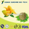 factory Supply Water-soluble Mango Fruit Powder/Mango Fruit Extract Powder