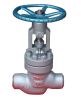 The power station Globe valve