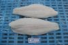 Frozen Pangasius well-trimmed with the best price