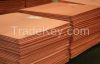 Copper Cathode