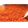 red lentils