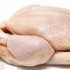 Quality Halal Frozen Chicken , halal brazil chicken, halal chicken frozen chicken feet for sale