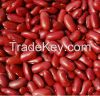 Dark Red kidney beans