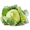 fresh cabbage