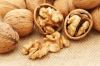 WALNUT / CASHEW NUTS / PISTACHIO NUTS / ALMOND NUTS