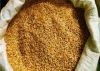 Quality whole oats for oats flakes , oats flour with competitive price