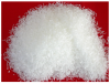 monosodium glutamate