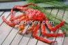 Live  King Crab