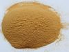 supply HVP(Vegetable protein hydrolysate)