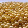 Soy and Corn from Brazil.