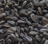 black Sunflower Seeds