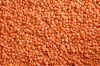 High Quality Lentils/Red Lentils/Green Lentils For Sale