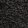 Steamed/roasted Black Rice