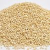 100% PURE PREMIUM ORGANIC QUINOA FOR SELL