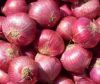 Quality fresh red / white onions