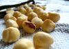 Hazel Nuts, Best Quality Hazel Nuts, Grade A Hazel Nuts