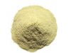 Pure Hoodia Gordonii Powder Bulk