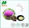 Milk Thistle Extract