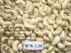 HOT SALE THE BEST CASHEW KERNEL