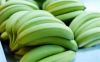 Unripe Fresh Green Bananas